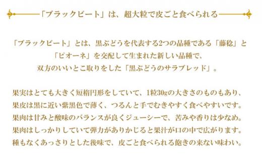 ぶどう 2024年 先行予約 ブラックビート 約600g×1房 ブドウ 葡萄  岡山県産 国産 フルーツ 果物 ギフト[No.5220-1448]
