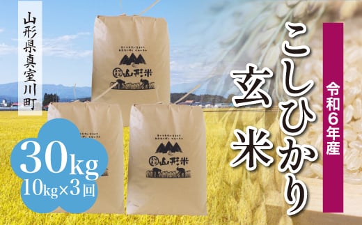 
            ＜配送時期が選べて便利な定期便＞ 令和6年産 真室川町 コシヒカリ  ［玄米］ 30㎏ 定期便（10kg×3回お届け）
          