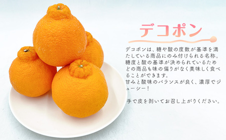 【先行予約】デコポン 2.2㎏（L～2Lサイズ）｜2026年2月下旬～3月下旬発送｜柑橘 でこぽん 愛媛県 西条市
