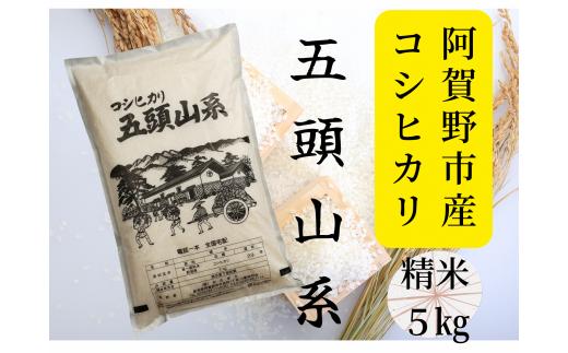 【新米】【新潟産コシヒカリ】 5kg 「五頭山系」 米屋のこだわり阿賀野市産 米屋かたぎり 1E01013