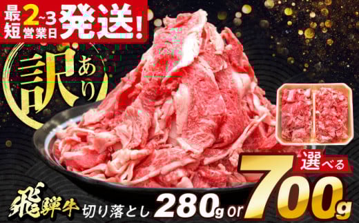 飛騨牛 切り落とし 280g 多治見市 / 飛騨牛 牛肉 和牛 養老ミート 冷凍 赤身 和牛 訳あり お試し [THG002]