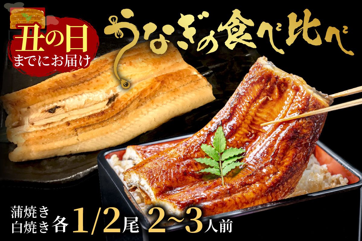 【土用の丑の日までに届く！（7月18～20日配送）】うなぎの食べ比べセット2～3人前【蒲焼き・白焼きそれぞれ1/2尾】全部で1尾　AN00083
