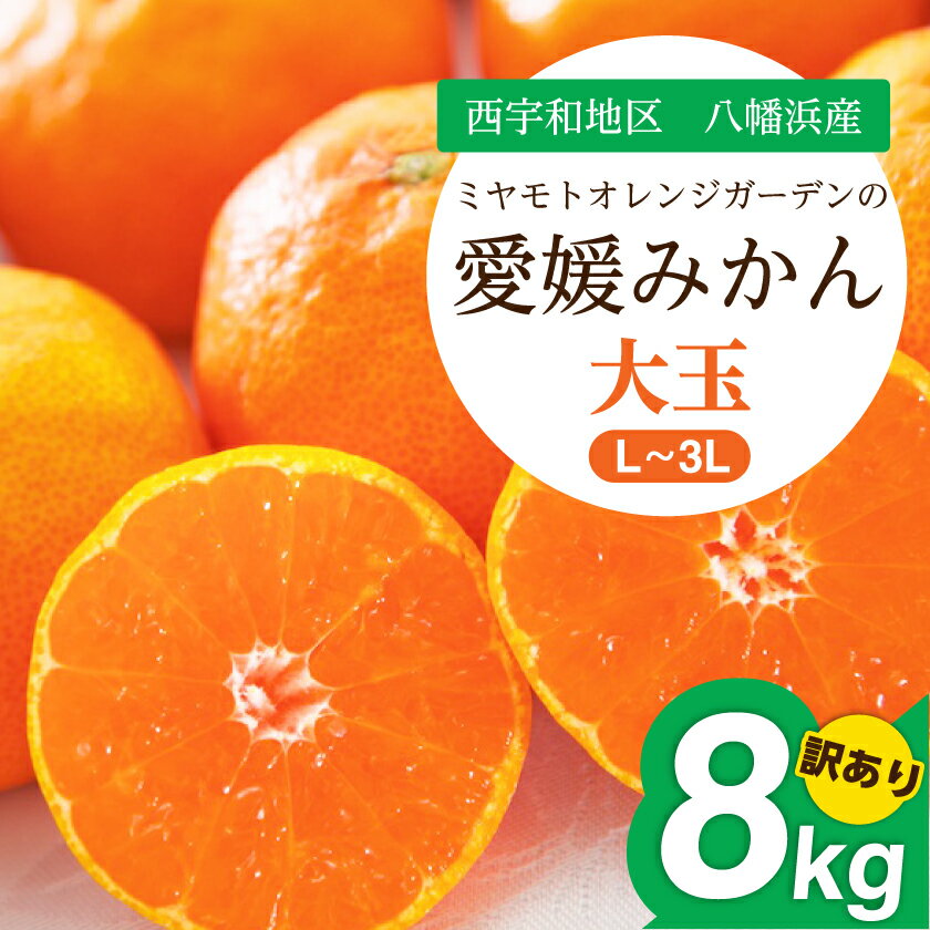 【ふるさと納税】【2025年11月より順次発送】大玉サイズのみ厳選!愛媛みかん8kg【訳あり】【C25-142】_ みかん ミカン 柑橘 フルーツ ふるーつ 果物 くだもの 青果 ワケアリ 訳あり 訳アリ 甘い 人気 大玉 愛媛 規格外 傷 不揃い 産直 産地直送 【1166254】