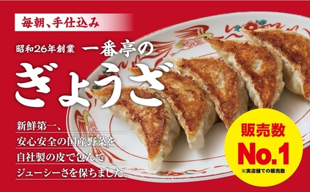 餃子 静岡県 一番亭の 冷凍餃子 63個セット 【静岡県 静岡 三島 餃子 ぎょうざ】