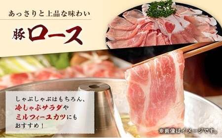 産地直送 宮崎県産 ホエー豚 しゃぶしゃぶ 食べ比べ セット 合計900g（300g×3パック）国産 豚肉 スライス