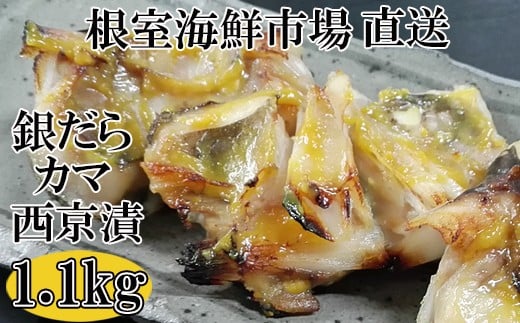 
            G-28009  根室海鮮市場＜直送＞銀だらカマ西京漬け1.1kg
          