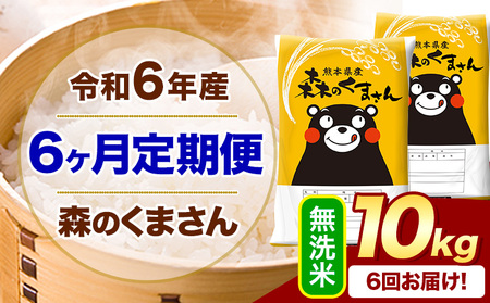 【6ヶ月定期便】令和6年産 無洗米 森のくまさん 10kg｜米定期米定期米定期米定期