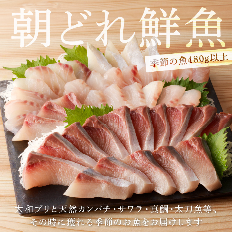 【単月お届け】大和海商 大和のこだわり漁師のお刺身6人前【冷凍】 N072-YA5531-2