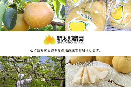 【2024年先行予約】【家庭用】幻の洋梨 ル・レクチェ2kg（5～7玉） 《11月下旬から順次発送》 果物 フルーツ  家庭用  加茂市産ル・レクチェ  梨 西洋梨 加茂市 新太郎農園