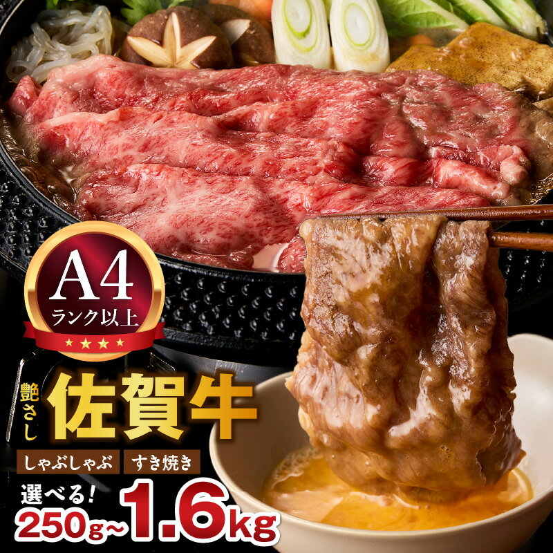【ふるさと納税】【 内容量・発送月が選べる 】佐賀牛 艶さし！ しゃぶしゃぶ すき焼き用　250g or 500g or 750g or 1.0kg or 1.6kg