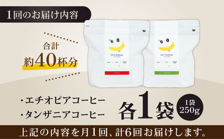 コーヒー[豆]6回定期 自家焙煎スペシャルティコーヒー豆(250g×2種)約40杯分ZCJ016