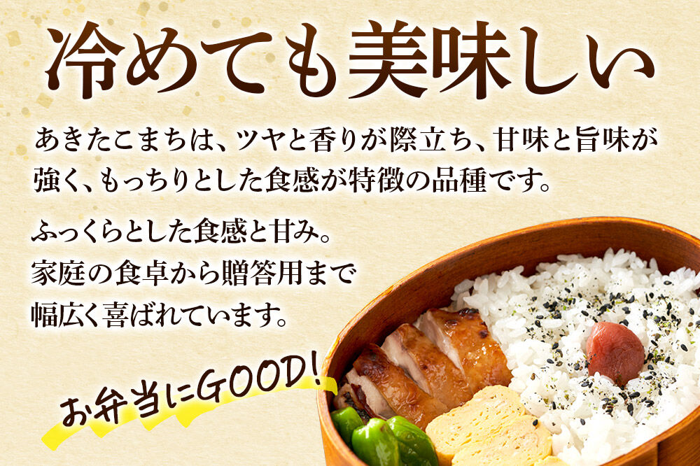 令和8年産 あきたこまち「仙人米」無洗米 10kg（5kg×2袋）  新米受付予約【2026年10月中旬以降、順次発送】 [国産 秋田産 秋田県産 白米 精米 無洗米 お米]