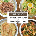 【ふるさと納税】＼種類が選べる！／うどんそば処 あぐんちゃ冷凍うどん4食セット 麺類 ゴボウ天 肉 チャンポン ユッケジャン 冷凍 冷凍うどん だし付き ふるさと納税 うどん