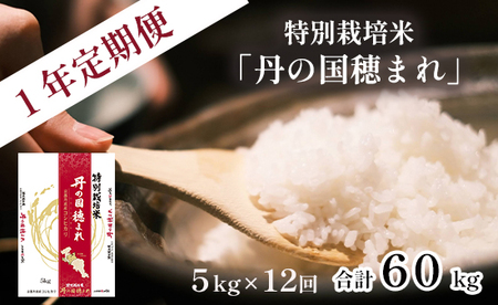 【定期便】特別栽培米 丹の国穂まれ 精米 5kg×12回 ： 令和6年度産 新米 60kg 1年定期便 コシヒカリ 精米 白米 ご飯 米 お米 ごはん 農協 JA こしひかり 京都 中丹 舞鶴 綾部 福知山