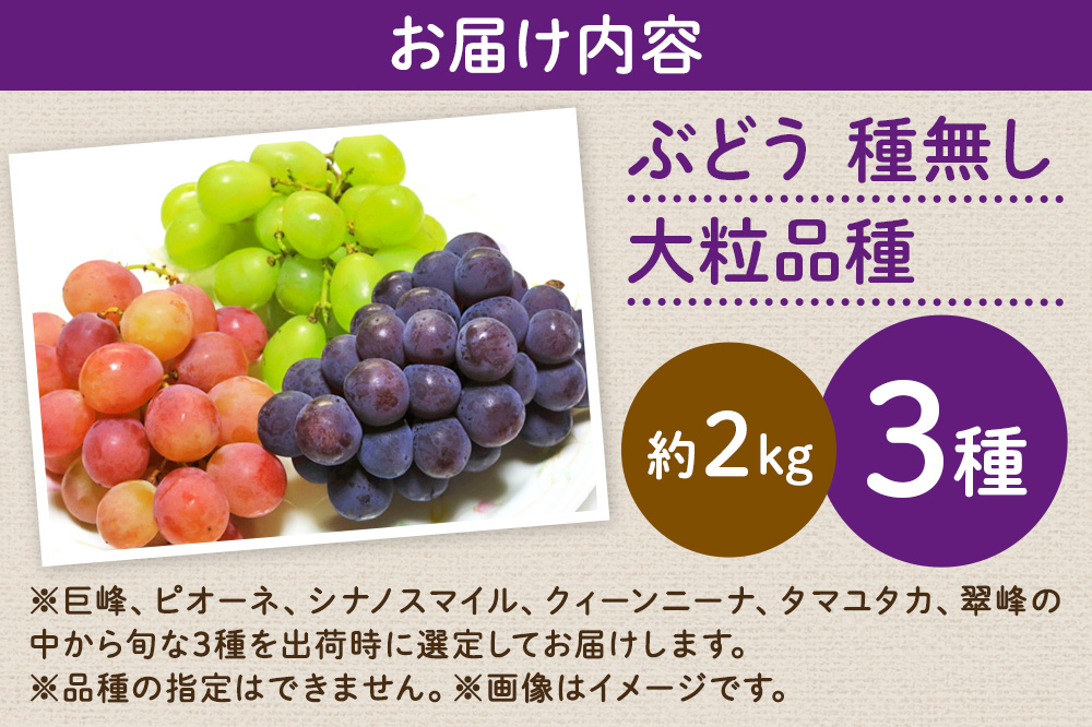 【先行受付】9月中旬より発送 【ぶどう3種食べ比べ】濃甘な完熟葡萄 横手市大沢地区産 旬な種無し大粒品種ぶどう 3種類詰合せ  巨峰 ピオーネ シナノスマイル クィーンニーナ タマユタカ 翠峰 ぶどう