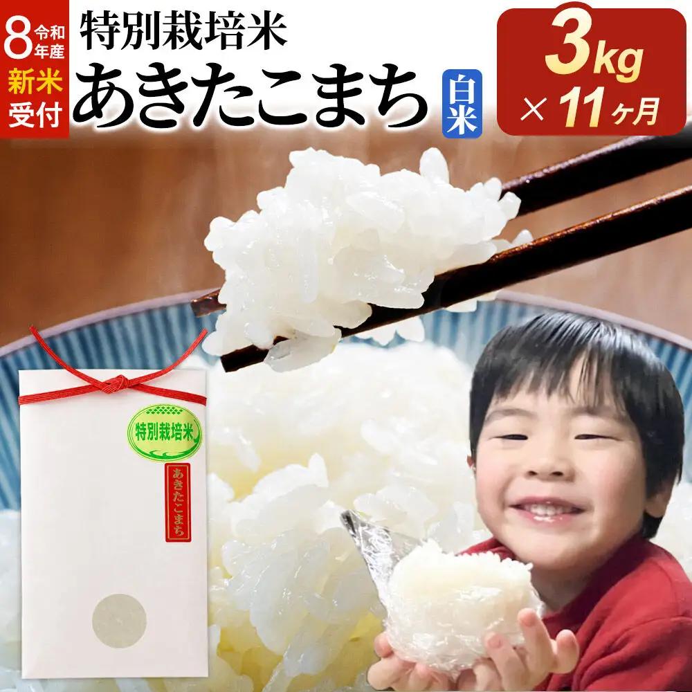 ＜令和8年産 新米受付＞《定期便11ヶ月》米 特別栽培米 あきたこまち【白米】3kg×1袋