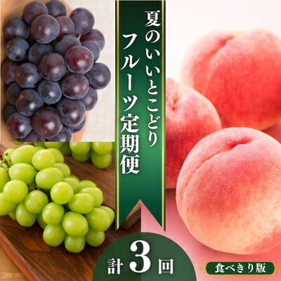 【ふるさと納税】 フルーツ 定期便 全3回 夏のいいとこどりフルーツ定期便 シャインマスカット 桃 ピオーネ ぶどう 葡萄 モモ 果実 果物 フルーツ 旬のフルーツ フルーツギフト ふるさと納税定期便 ふるさと納税フルーツ 人気 おすすめ 送料無料 ふるさと納税