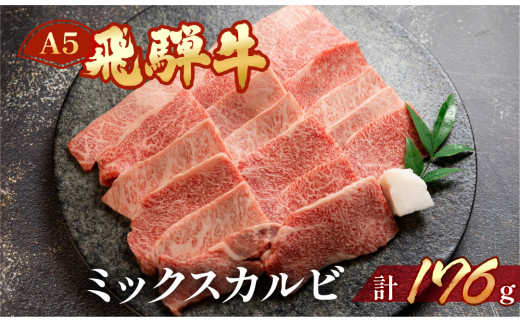 飛騨牛 A5 ミックスカルビ  176g（約2人前）【冷凍 真空】牛肉 カルビ 焼肉  牛 天狗 ブランド牛 焼き肉 飛騨 下呂市