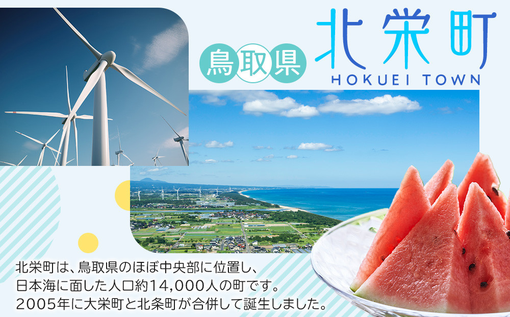 255.【先行予約】【品種はおまかせ】小玉スイカ1玉とメロン1玉セット◇ ※6月上旬～7月中旬頃に順次発送予定