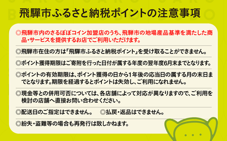 さるぼぼコイン　飛騨市ふるさと納税ポイント 6,000pt [Q2297]