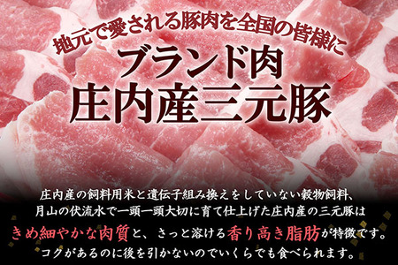 ＜2月中旬発送＞庄内三元豚6か月定期便！（入金期限：2025.1.25）