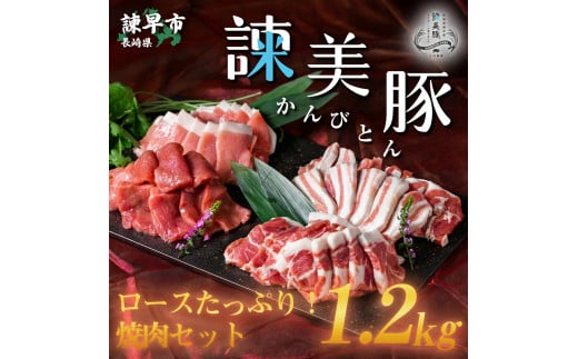 諫美豚焼肉セット計1.2kg / 豚肉 ロース バラ モモ 焼肉 小分け / 諫早市 / 株式会社土井農場 [AHAD057]