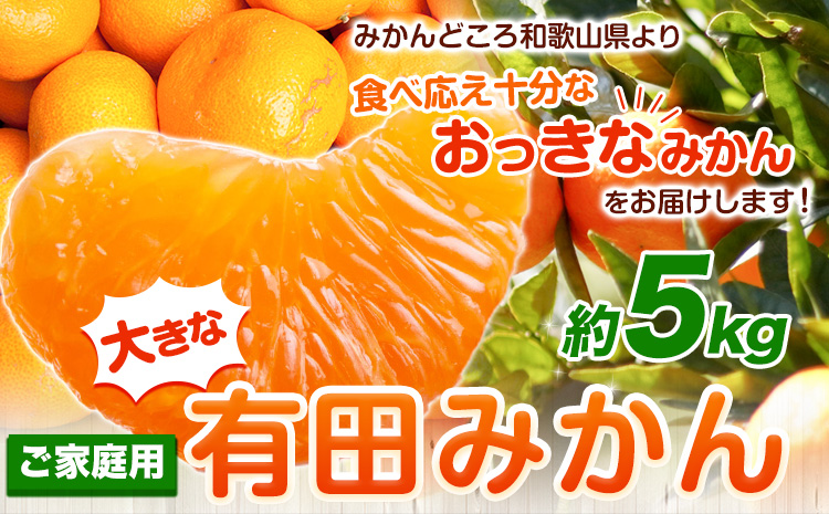 ＜先行予約＞家庭用　大きな有田みかん5kg+250g（傷み補償分）【わけあり・訳あり】【光センサー選果】 池田鹿蔵農園@日高町（池田農園株式会社）《11月中旬-1月下旬頃出荷》和歌山県 日高町