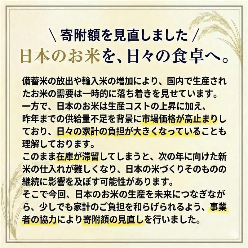 【18ヶ月定期便】熊本県産 くまもとあっぱれ米 ブレンド米 10kg 白米《お申込み翌月から出荷》