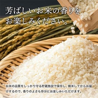ふるさと納税 三田市 【毎月定期便】三田米コシヒカリ 精米 5kg 全12回 |  | 02
