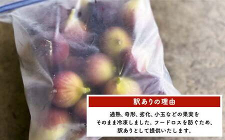 訳あり イチジク ハウスイチジク 訳あり 冷凍 イチジク 約3kg 【合同会社宝Farm】 イチジク小分け イチジクイチジク小分け イチジク ハウス イチジク 熊本県産 イチジク 宇城市産 イチジクイ