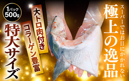 【先行予約】天然 ぶり 特大 ブリカマ (塩焼き用) 約1kg (約500g × 2パック) 美浜町日向産【2026年12月下旬以降順次発送予定】【 ブリカマ 】[m36-a016]
