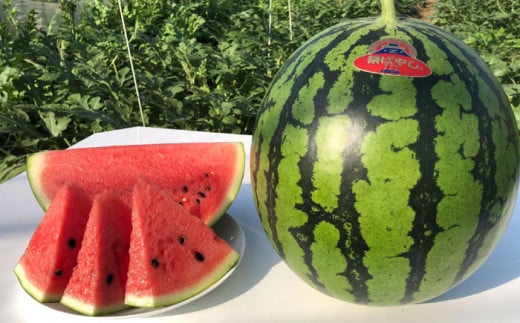 【先行予約】【初夏に実った贈り物】大玉 スイカ 約7kg【なかむら農園】 [ZBH001]