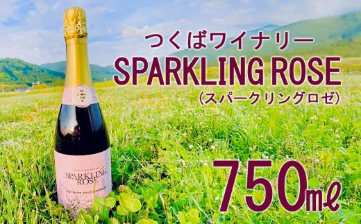 つくばワイナリー SPARKLING ROSE （ スパークリングロゼ ） │ お酒 葡萄 ぶどう ブドウ 茨城県産 つくば市産 ワイナリー ワイン