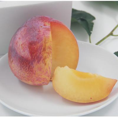 ふるさと納税 甲州市 甲州市産 すもも『貴陽』約1.8kg(化粧箱大玉7〜10玉) |  | 02