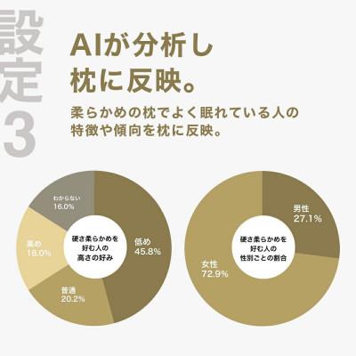 ふるさと納税 我孫子市 柔らかい枕を好む人向け枕 THE PILLOW Preset 10 Yawaraka |  | 03