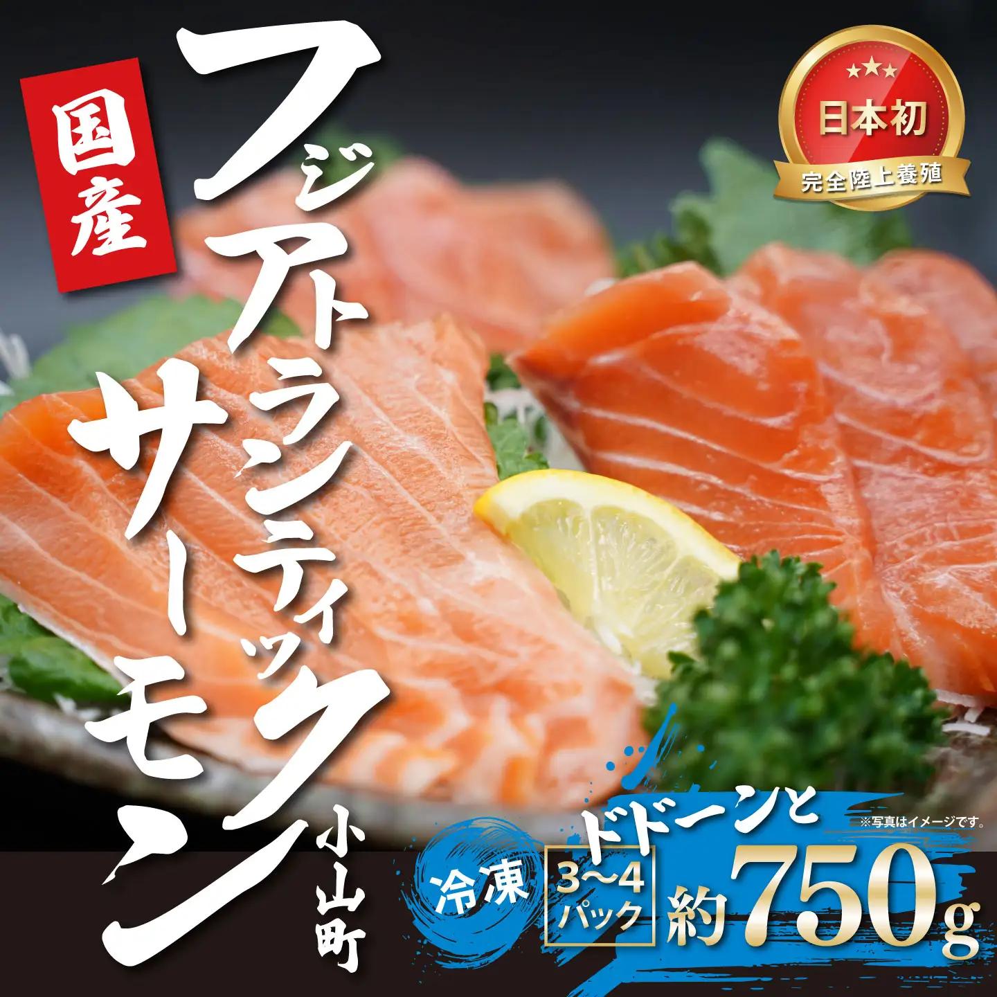 国産サーモン 冷凍 3～4P 約750g サーモン