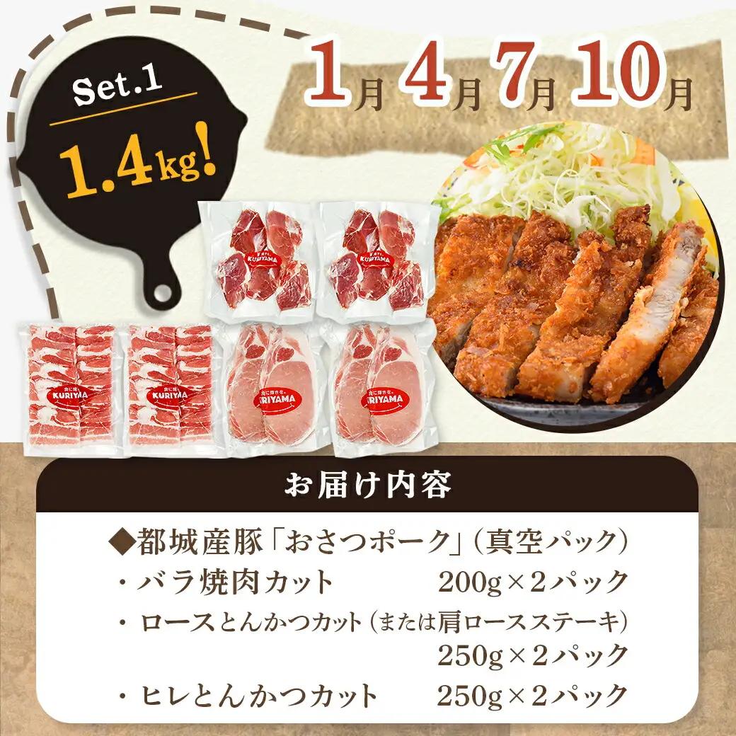 ≪3回連続お届け≫「おさつポーク」バラエティ定期便〔T33-3-1401〕_(都城市) 豚肉 都城産豚 おさつポーク 真空 冷凍 3回連続 定期便