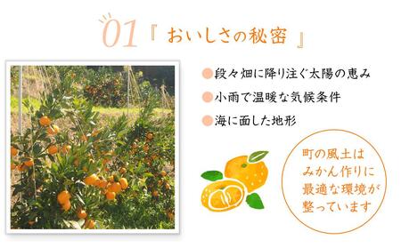 蔵出しみかん6.5kg(大小混合)《ご家庭用》ちょっと訳あり　和歌山県下津町より農園直送！１月中旬頃発送開始　まごころ産直みかん 【北海道・沖縄県・一部離島 配送不可】混合サイズ　わけあり　訳アリ