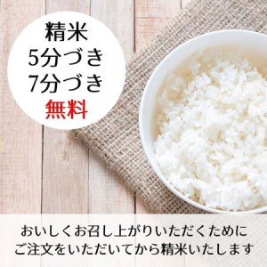 【令和7年産】玄米 きぬひかり 10kg 玄米