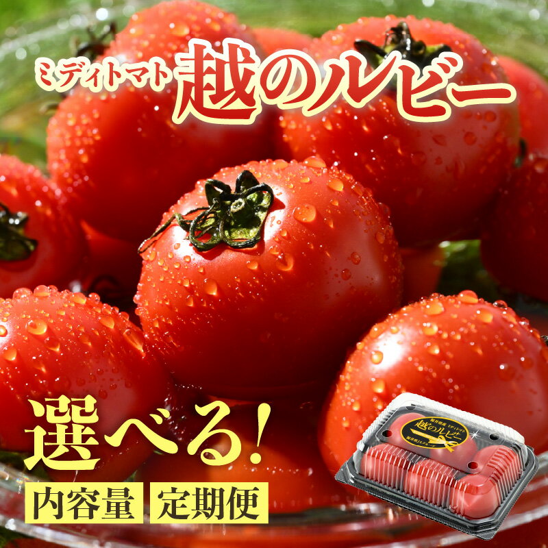 【ふるさと納税】【先行予約】ミディトマト 越のルビー パック入 1kg（4パック＋品質補償1パック） / 2kg（8パック＋品質補償2パック） 福井県産ブランドトマト 農家直送 有機肥料 低農薬 ※2026年9月中旬～11月発送 選べるサイズ