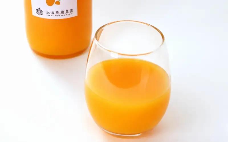 清見 オレンジ 100% ジュース / 清見オレンジ ストレート 果汁 無添加 柑橘 和歌山 18000円 720ml ※北海道・沖縄・離島への配送不可 //drink 【ikd100-kiy720-