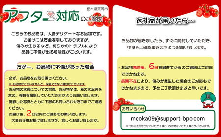 太陽の恵みをたっぷり浴びた はにかみトマト 約3kg