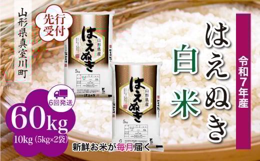 ＜令和7年産米先行受付＞ 真室川町産 はえぬき 【白米】 定期便 60kg （10kg×1ヶ月間隔で6回お届け）＜配送時期指定可＞