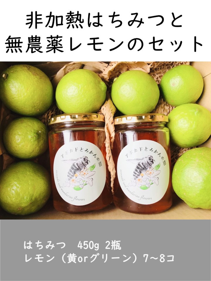 
【数量限定】はちみつ450g 2瓶 無農薬レモン7~8個セット Kura-Kura農園[K001360]
