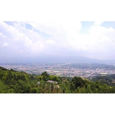 ふるさと納税 橋本市 国城観光農園のたねなし柿9個入り(3Lサイズ) |  | 01