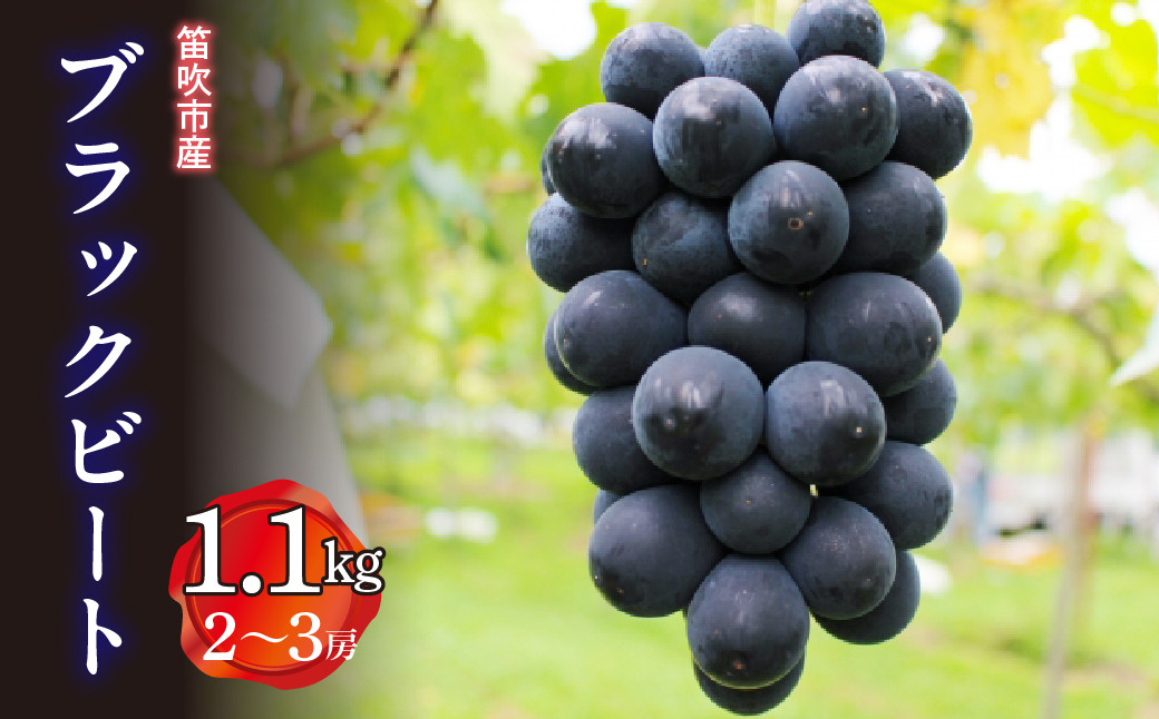 
                  ＜25年発送＞笛吹市産　ブラックビート　1.1kg(2～3房)  227-012
                