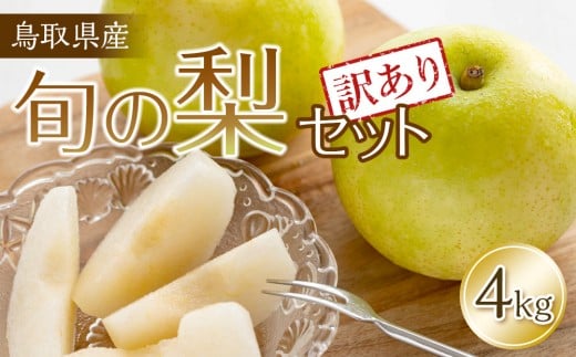 【訳あり】鳥取県産旬の梨セット 4kg ※2025年8月下旬頃～12月下旬頃に順次発送予定【先行予約 梨 なし 果物 フルーツ くだもの 鳥取県 北栄町 おすすめ 人気 送料無料】