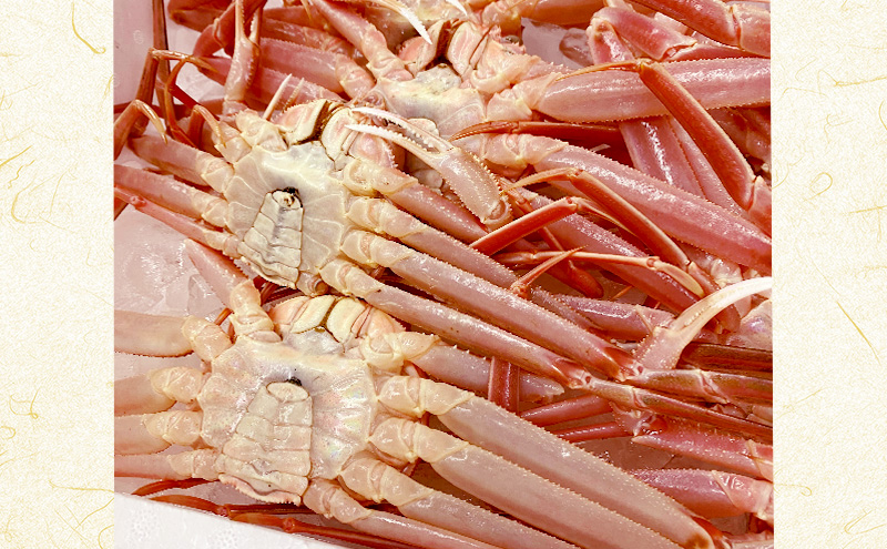 ずわいがに　甲羅盛り　約130g×3個入り 上越市 かに カニ 甲羅 冷凍