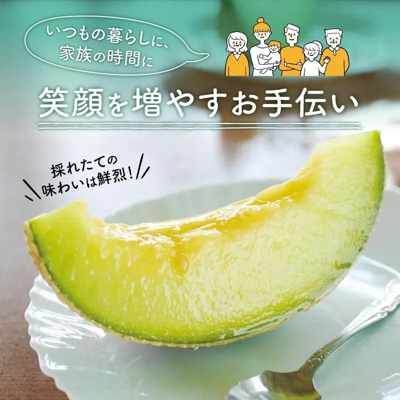 農園自慢の『マスクメロン』（アールスメロン）大玉×2玉入り《先行予約》2027年6月下旬から順次発送【0264-5】