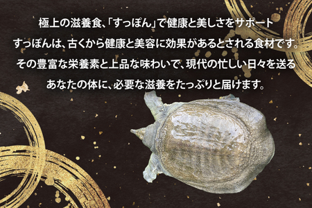 【生きたまま直送】活きすっぽん  1匹  800g～900g｜すっぽん スッポン 養殖 コラーゲン コラーゲンたっぷり 低カロリー 美容 健康 １匹 送料無料 豊見城市産 沖縄県(CS001)